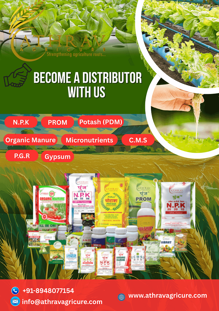 Distributor with green background 2